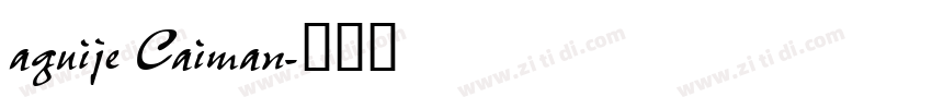 aguije Caiman字体转换